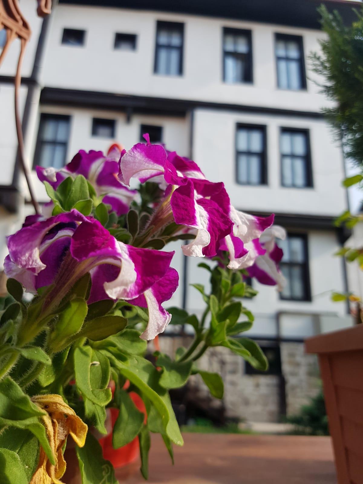 Kadioglu Konagi Hotel Kastamonu Exterior photo